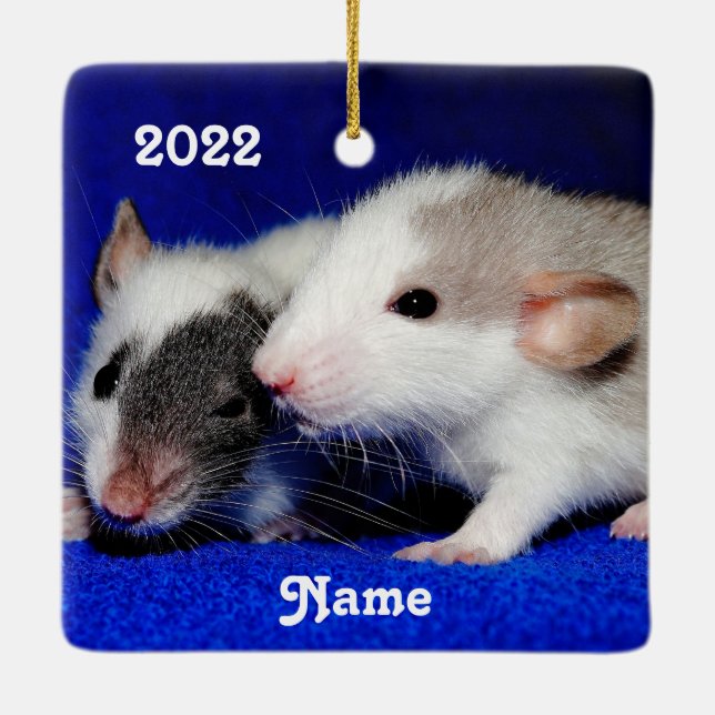 Ornement En Céramique Bébé personnalisé Fancy Animaux de compagnie Rat P (Dos)