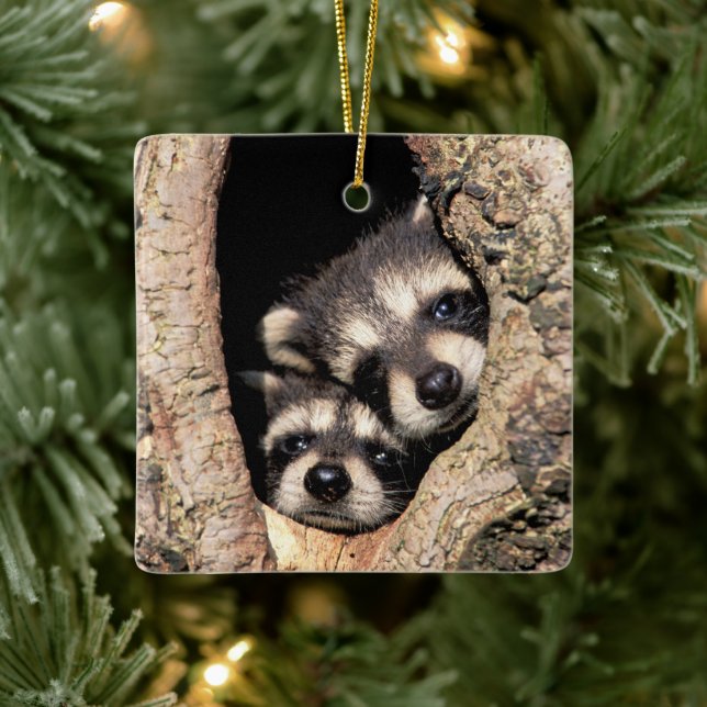Ornement En Céramique Bébé Raccoons se jetant dans l'arbre (Arbre)