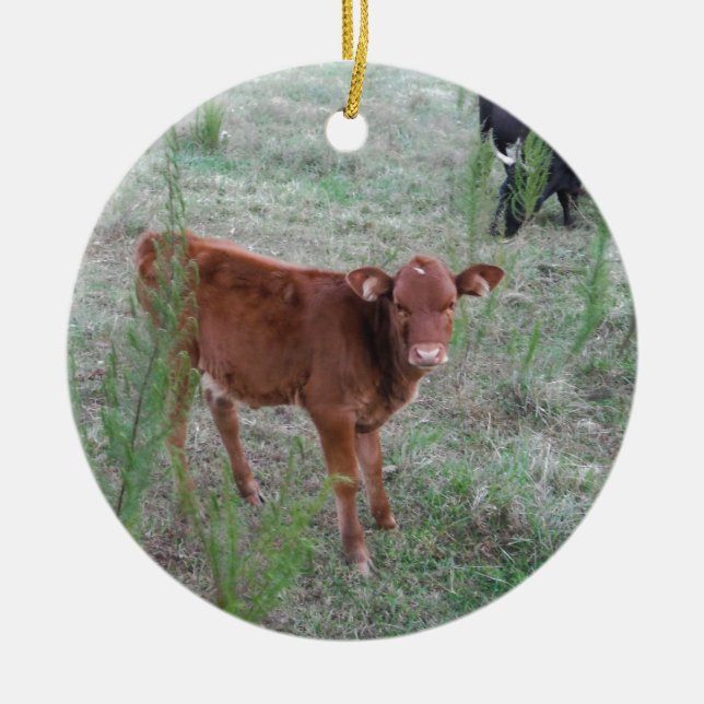 Ornement En Céramique Bébé vache Brown. (Devant)