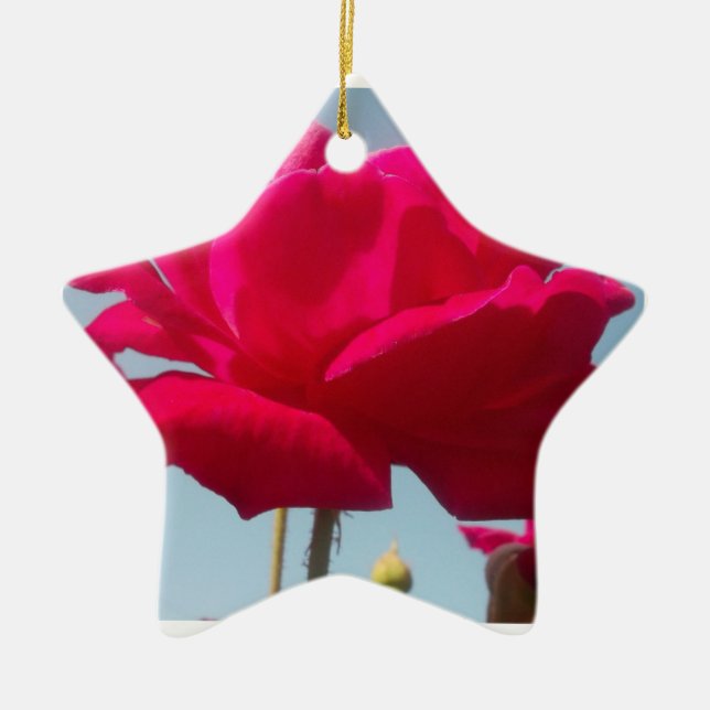 Ornement En Céramique Belle belle Rose céleste rouge contre bleu (Devant)