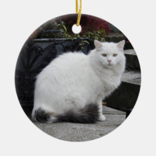 Ornement En Céramique Belle Chat Blanc Sur Une Grave