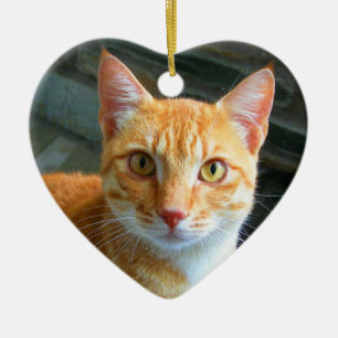 Ornement En Céramique Belle chatte de gingembre