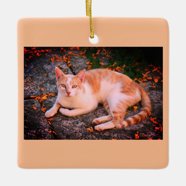 Ornement En Céramique Belle chatte de gingembre (Devant)