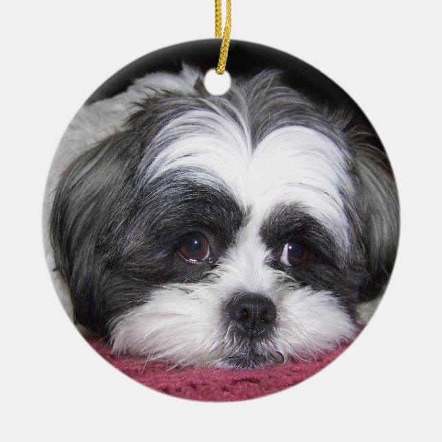 Ornement En Céramique Belle le chien de Shih Tzu (Devant)