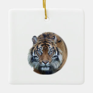 Ornement En Céramique Belle photo du visage du tigre du Bengale