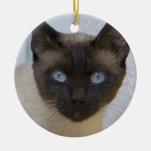 Ornement En Céramique Belle pointe de phoque Chat siamois