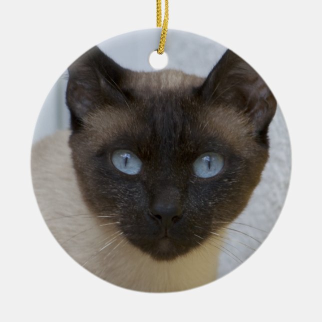 Ornement En Céramique Belle pointe de phoque Chat siamois (Devant)