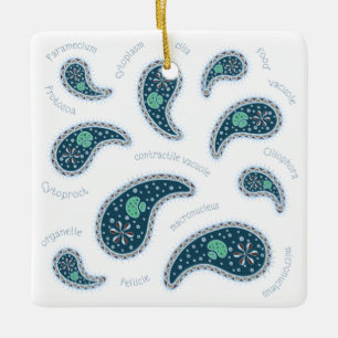 Ornement En Céramique Biologie des sciences des microbes Paramecia Paisl