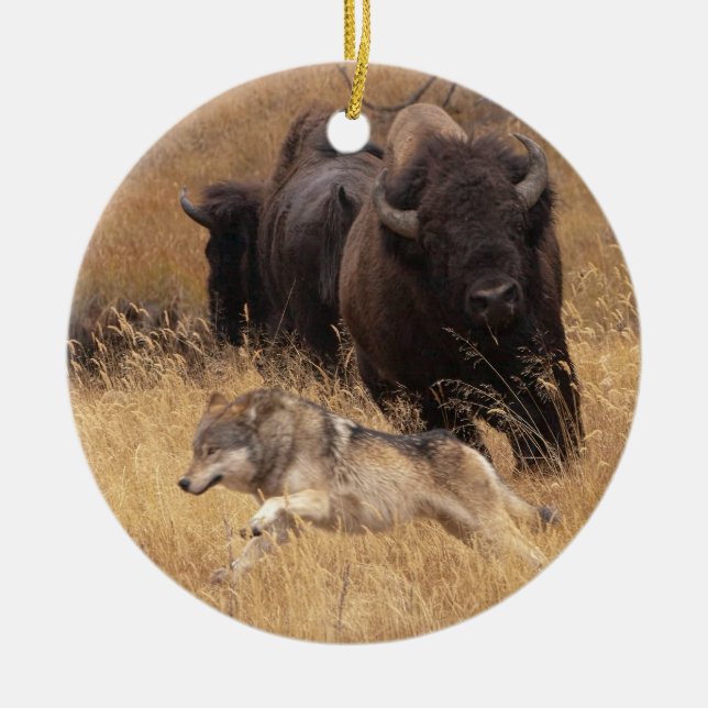 Ornement En Céramique Bison, femelle, et loup de Taureau (Devant)