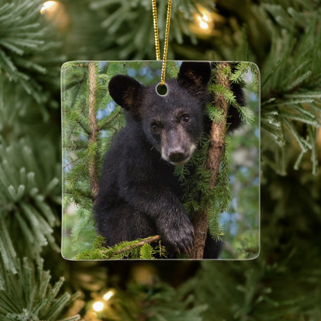 Ornement En Céramique Black Bear Cub Jouer dans les arbres (Arbre)