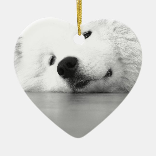 Ornement En Céramique Blanc de chien de photo de Samoyed (Devant)