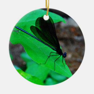 Ornement En Céramique Blue Damselfly on a green leaf.