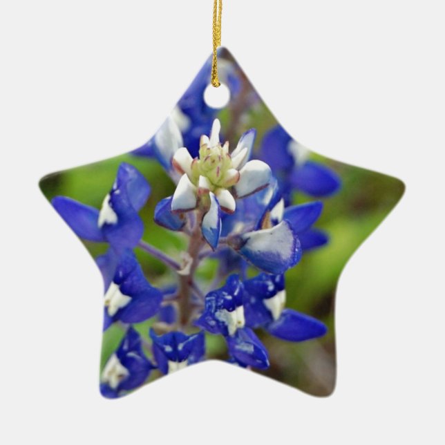 Ornement En Céramique Bluebonnets de Texas (Devant)