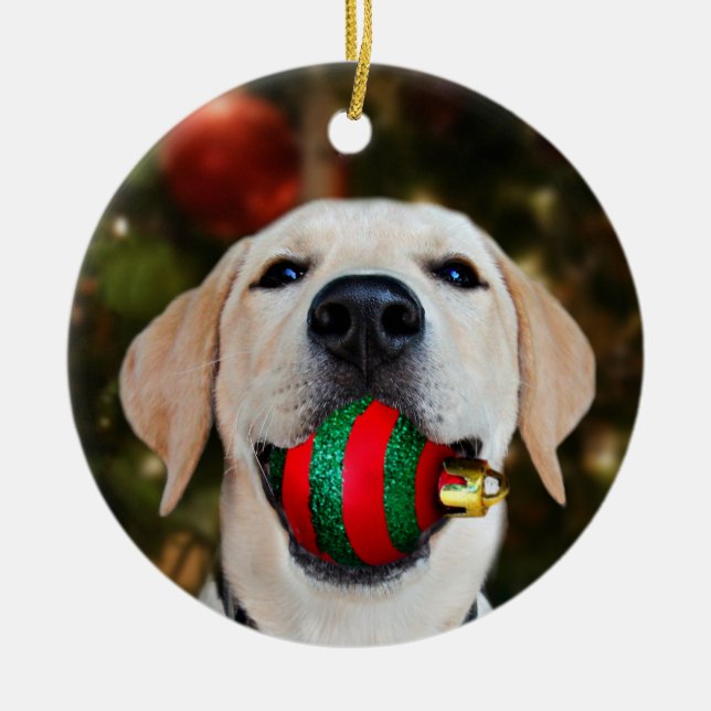 Ornement En Céramique Boule de Noël du laboratoire jaune (Devant)
