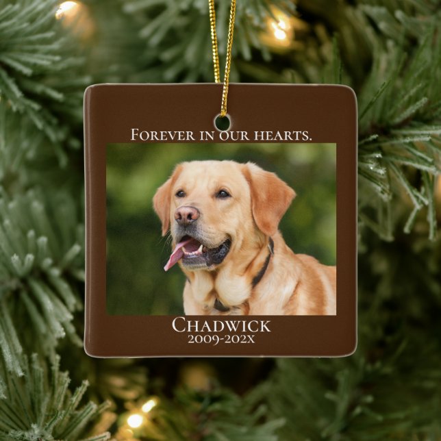 Ornement En Céramique Brown moderne Ajouter photo Pet Memorial (Arbre)