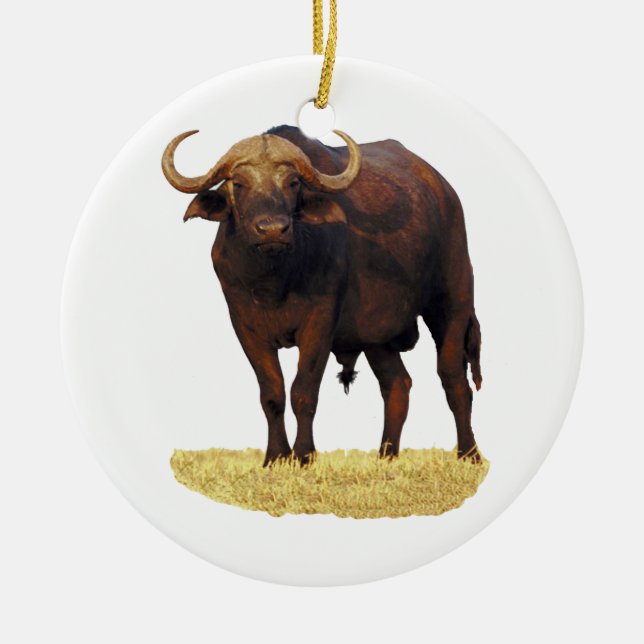 Ornement En Céramique Buffalo d'eau africain (Devant)