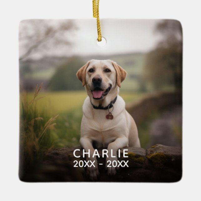 Ornement En Céramique Buffalo Plaid Photo Pet Memorial (Devant)