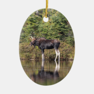 Ornement En Céramique Bull Moose