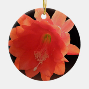Ornement En Céramique Cactus d'orchidée - Epiphyllum Ackermannii - fleur
