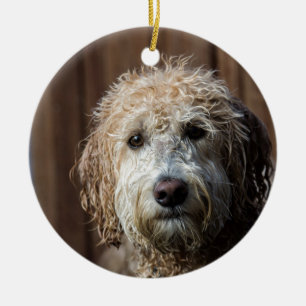 Ornement En Céramique Cadeaux impressionnants de chiot de Labradoodle