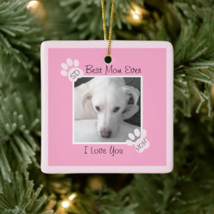 Ornement En Céramique Cadre de mâts de chien rose pâle d'une photo