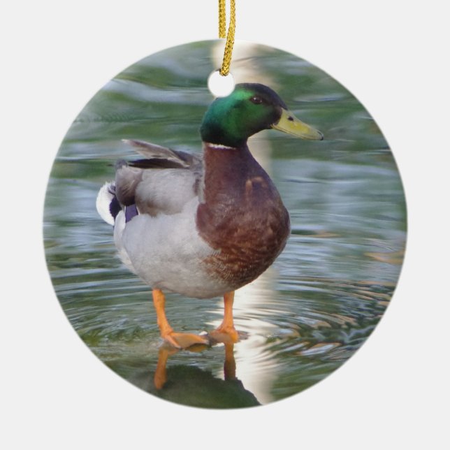 Ornement En Céramique Canard de Mallard (Devant)