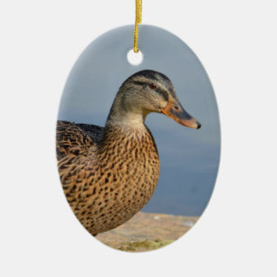 Ornement En Céramique Canard femelle de Mallard