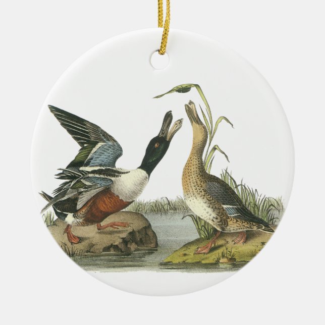 Ornement En Céramique Canard souchet du nord, John Audubon (Devant)