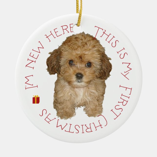 Ornement En Céramique Cavachon Chiot Premier Noël (Devant)