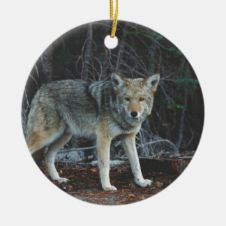 Ornement En Céramique Chasse de coyote