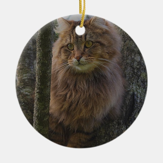 Ornement En Céramique Chat à Coon du Maine - Chat d'arbre (Devant)