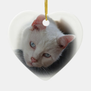Ornement En Céramique Chat blanc