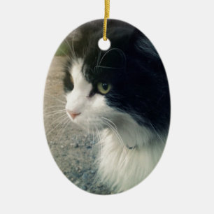 Ornement En Céramique Chat de smoking