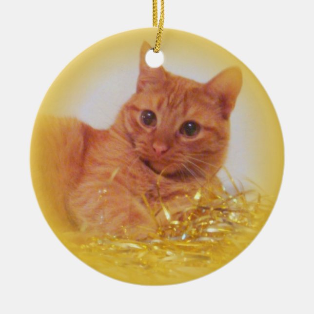 Ornement En Céramique Chat d'étincelle (Devant)