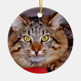 Ornement En Céramique Chat du Maine-Coone
