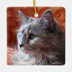 Ornement En Céramique Chat gris sur entraîneur