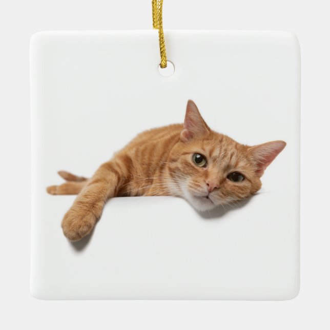 Ornement En Céramique Chat Orange Posé En Bas (Devant)