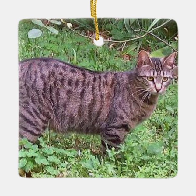 Ornement En Céramique Chat tigré Brown dehors (Devant)