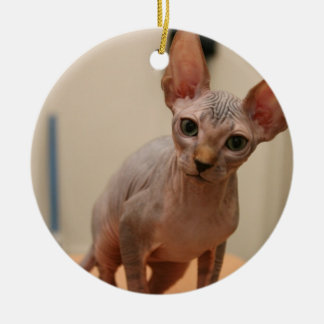 Ornement En Céramique Chaton mignon de sphynx "je suis furless, et vous