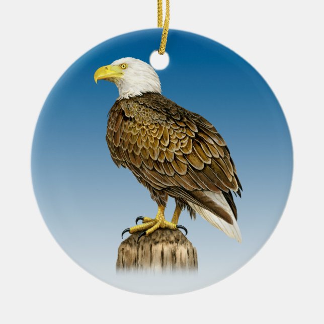 Ornement en céramique chauve d'Eagle (Devant)