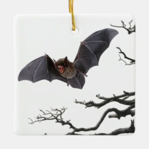 Ornement En Céramique Chauve-souris, Gothique, Dracula, Chauve-souris,