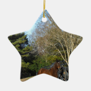 Ornement En Céramique Cheval Brown contre une clôture