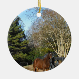 Ornement En Céramique Cheval Brown contre une clôture
