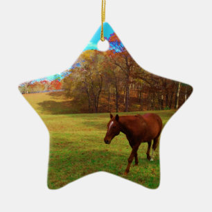 Ornement En Céramique Cheval Brown dans un champ de couleur arc-en-ciel