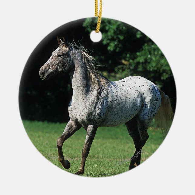 Ornement En Céramique Cheval d'Appaloosa courant 2 (Devant)