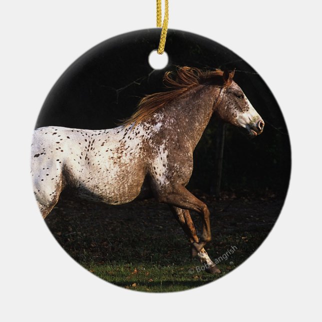 Ornement En Céramique Cheval d'Appaloosa courant 4 (Devant)