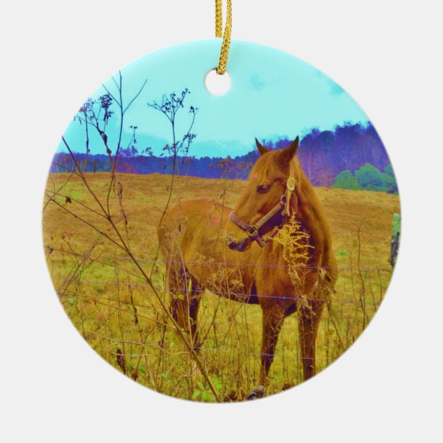 Ornement En Céramique Cheval de couleur rétro (Devant)