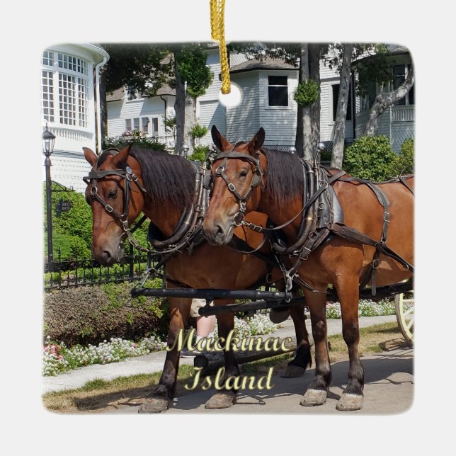 Ornement En Céramique Cheval et transport sur l'île Mackinac, Michigan (Devant)