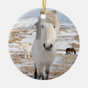 Ornement En Céramique Cheval islandais blanc, Islande