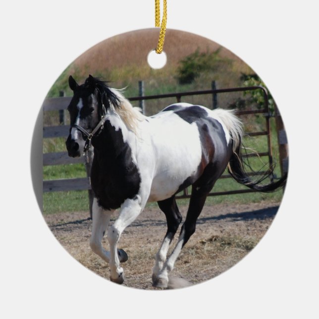 Ornement En Céramique Cheval/Paint Pinto (Devant)